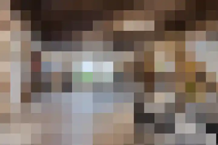 Julianaweg 13 Wouwse Plantage thumbnail 26