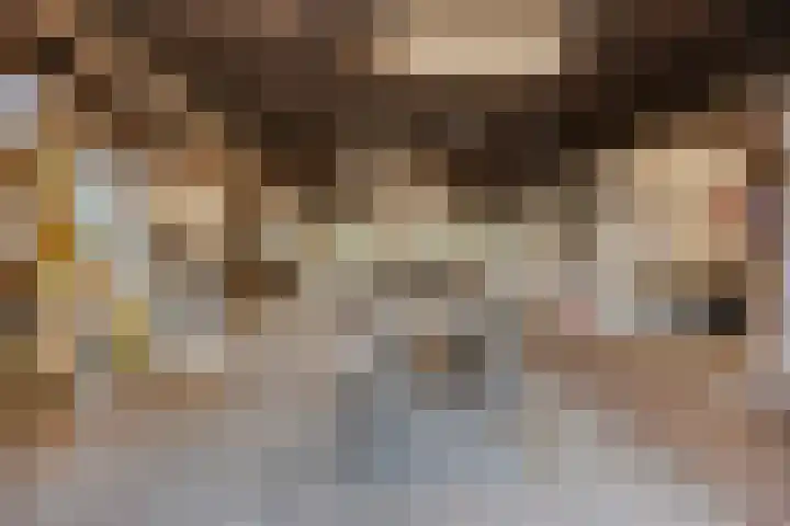 Julianaweg 13 Wouwse Plantage thumbnail 27
