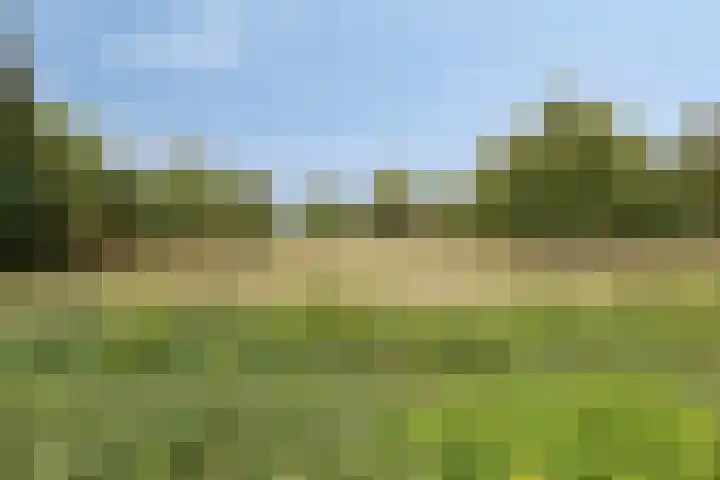 Julianaweg 13 Wouwse Plantage foto 3