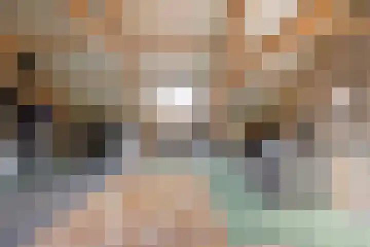 Julianaweg 13 Wouwse Plantage thumbnail 30