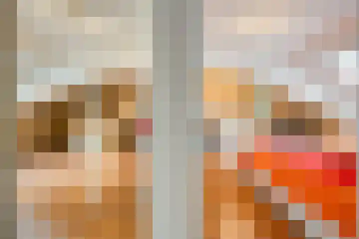 Julianaweg 13 Wouwse Plantage thumbnail 32