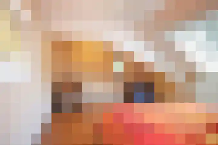 Julianaweg 13 Wouwse Plantage thumbnail 34