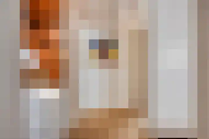Julianaweg 13 Wouwse Plantage thumbnail 36