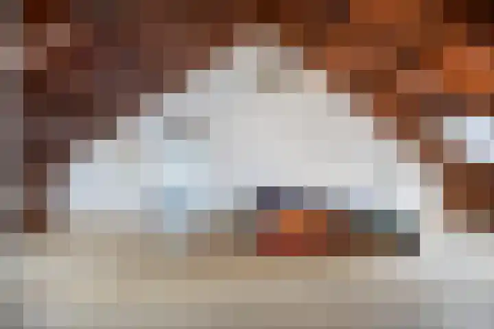 Julianaweg 13 Wouwse Plantage thumbnail 39