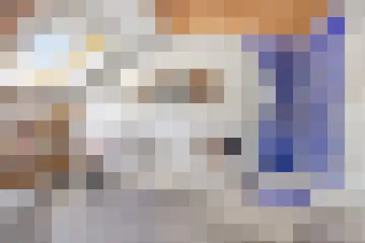 Julianaweg 13 Wouwse Plantage thumbnail 40