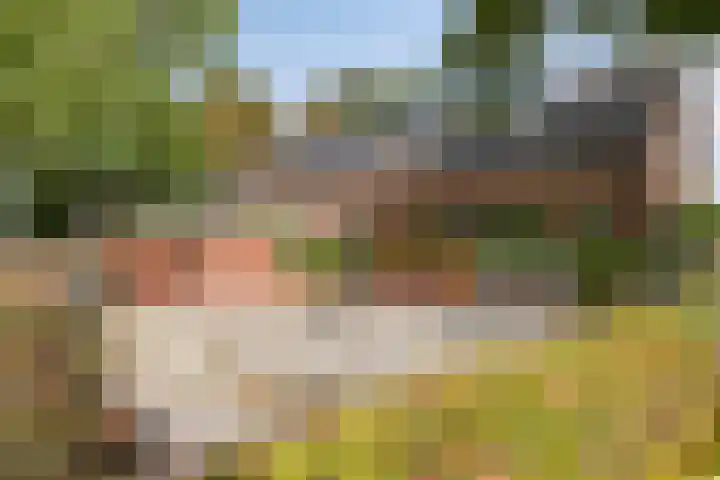 Julianaweg 13 Wouwse Plantage thumbnail 43