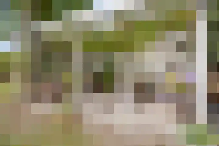 Julianaweg 13 Wouwse Plantage thumbnail 44