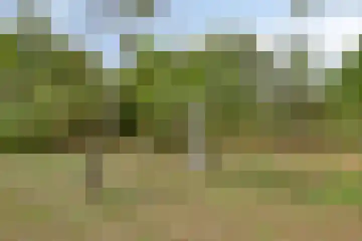 Julianaweg 13 Wouwse Plantage thumbnail 46
