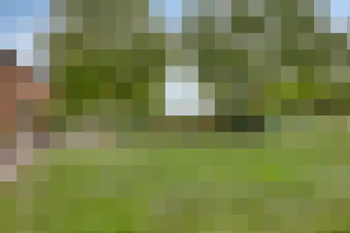 Julianaweg 13 Wouwse Plantage thumbnail 47