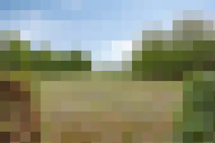Julianaweg 13 Wouwse Plantage thumbnail 48