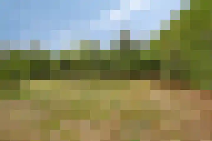 Julianaweg 13 Wouwse Plantage thumbnail 49