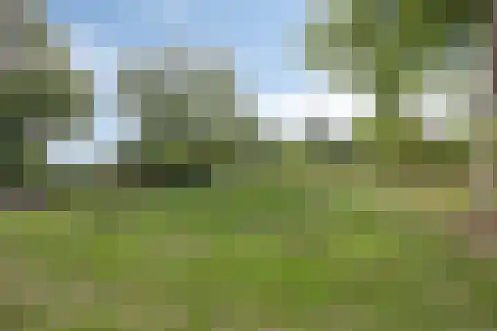 Julianaweg 13 Wouwse Plantage thumbnail 50