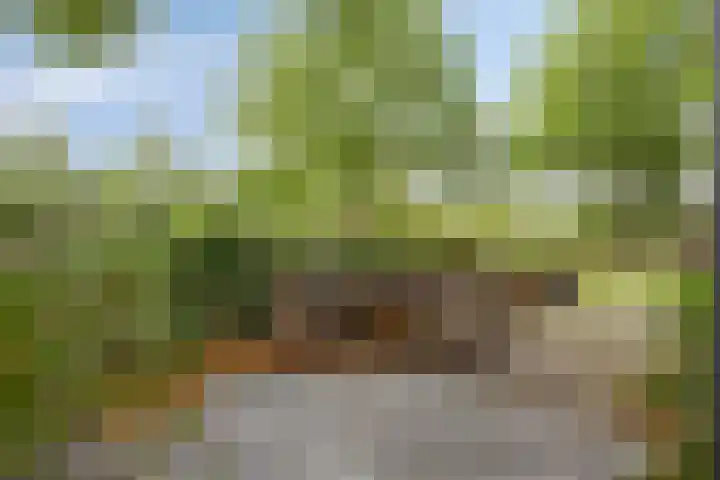 Julianaweg 13 Wouwse Plantage thumbnail 51
