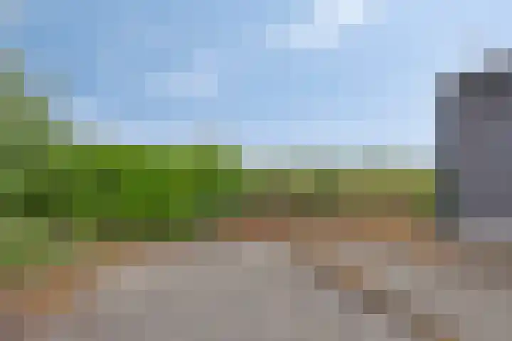 Julianaweg 13 Wouwse Plantage thumbnail 54