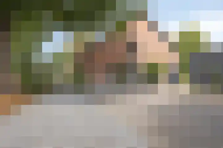 Julianaweg 13 Wouwse Plantage thumbnail 55