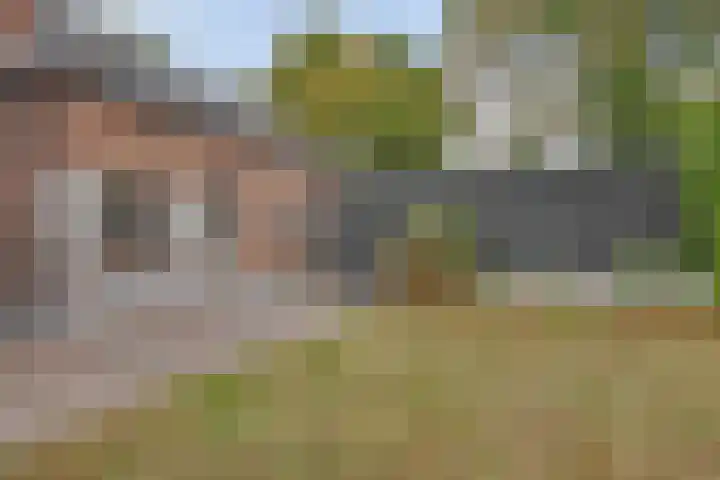 Julianaweg 13 Wouwse Plantage thumbnail 56