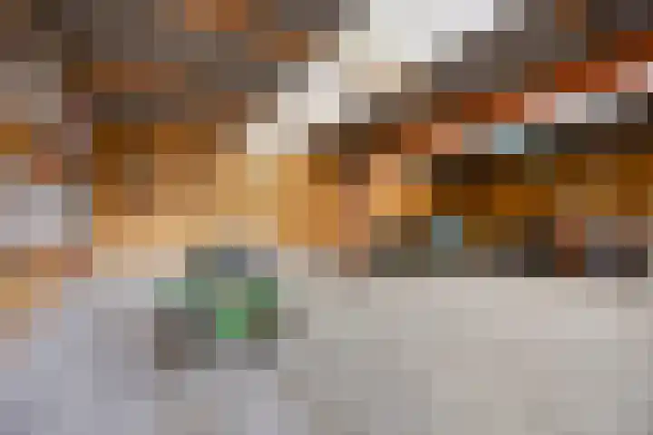 Julianaweg 13 Wouwse Plantage thumbnail 58