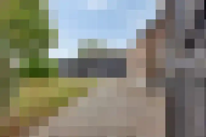 Julianaweg 13 Wouwse Plantage thumbnail 59