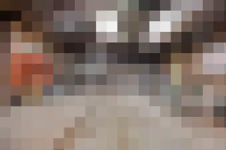 Julianaweg 13 Wouwse Plantage thumbnail 60