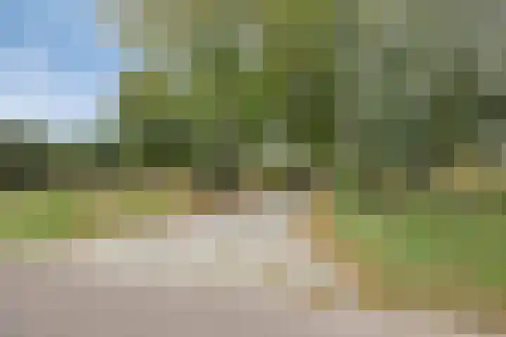 Julianaweg 13 Wouwse Plantage thumbnail 66