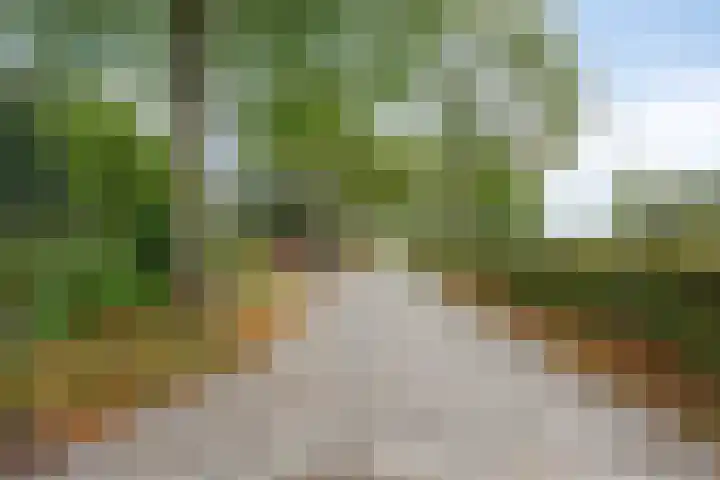 Julianaweg 13 Wouwse Plantage thumbnail 67