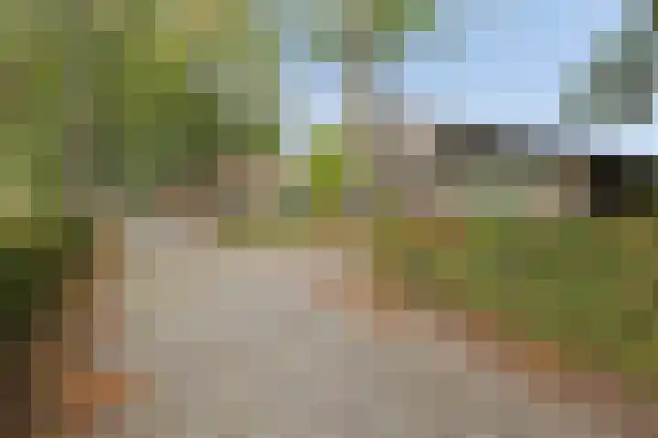 Julianaweg 13 Wouwse Plantage thumbnail 68