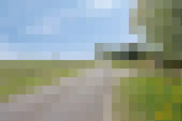 Julianaweg 13 Wouwse Plantage thumbnail 69