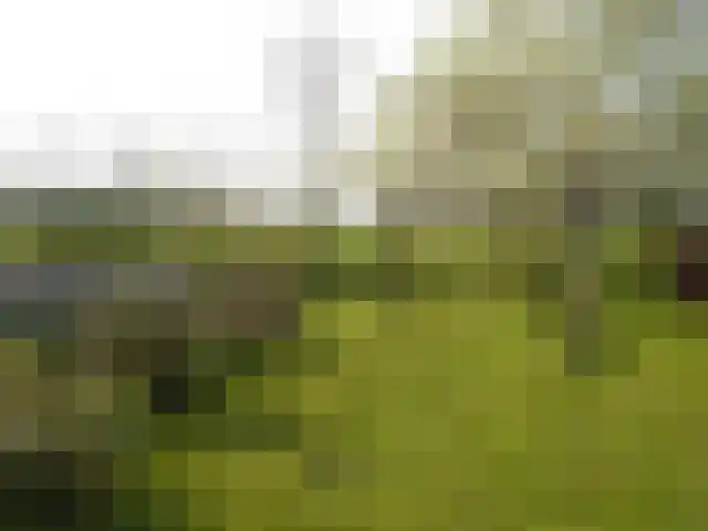 Julianaweg 13 Wouwse Plantage thumbnail 70