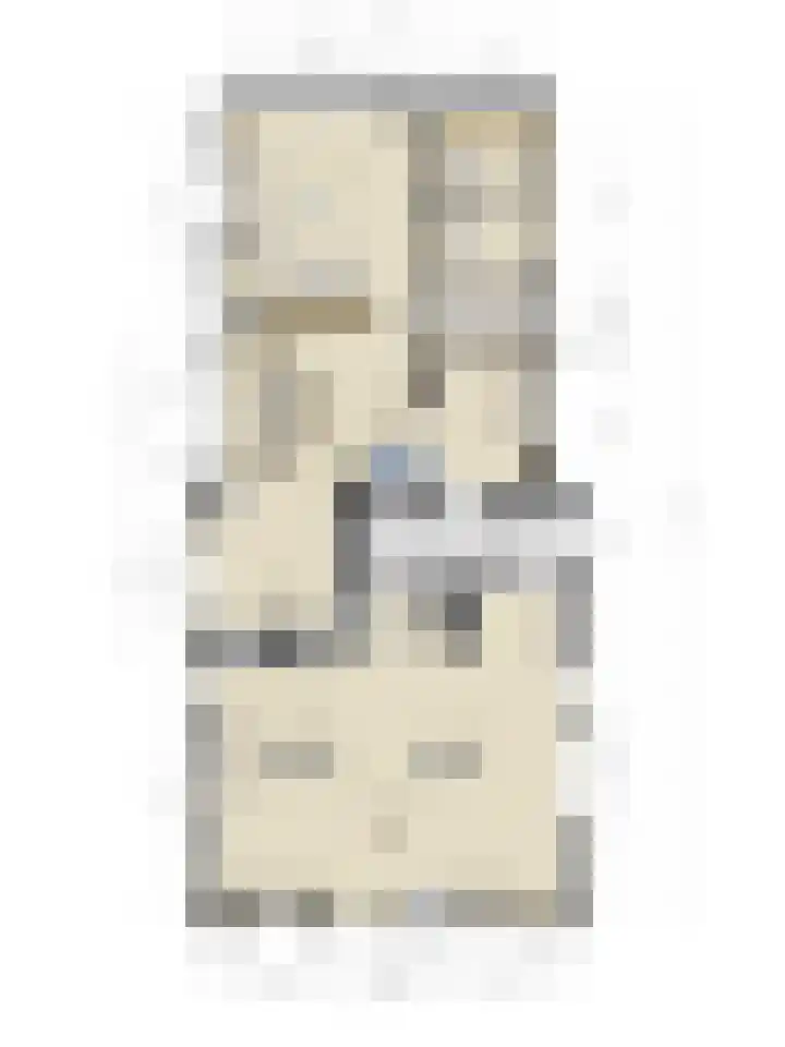 Julianaweg 13 Wouwse Plantage thumbnail 75