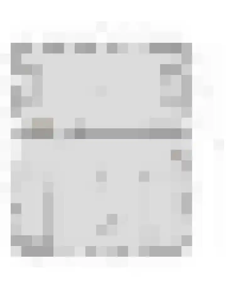 Julianaweg 13 Wouwse Plantage thumbnail 80
