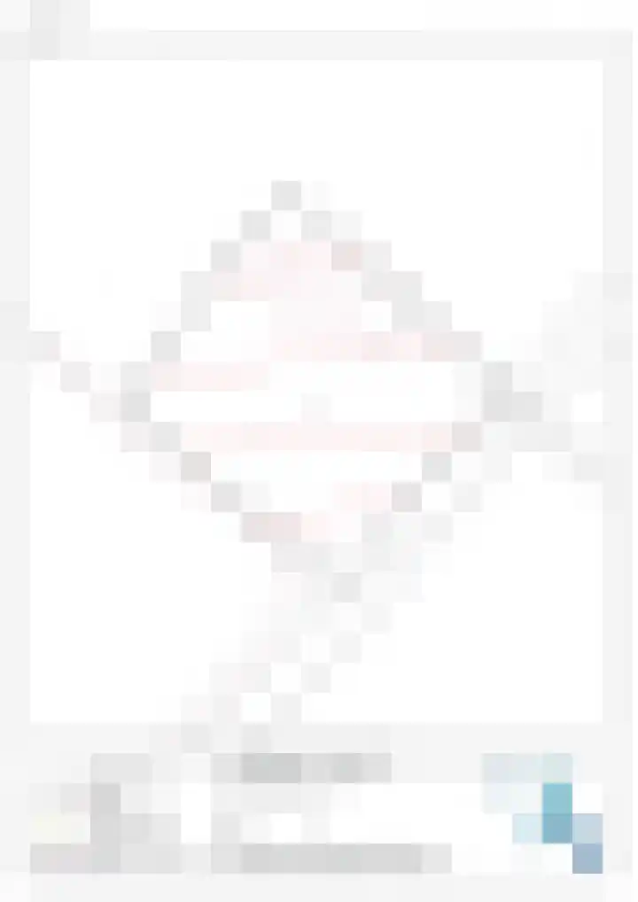 Julianaweg 13 Wouwse Plantage thumbnail 81
