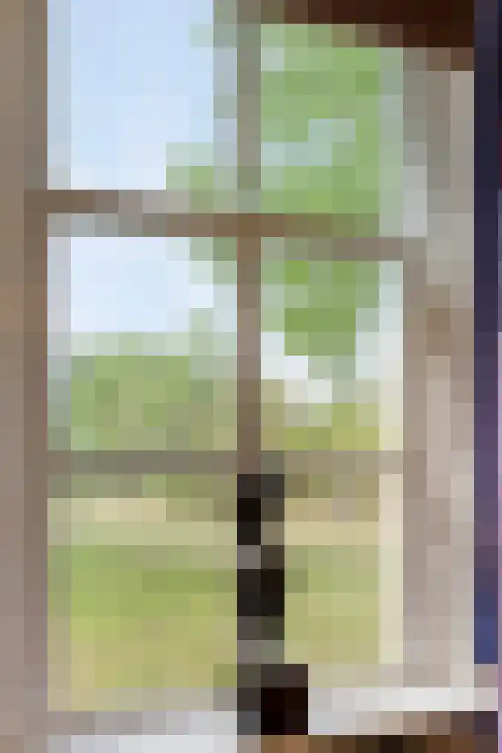 Julianaweg 13 Wouwse Plantage thumbnail 9