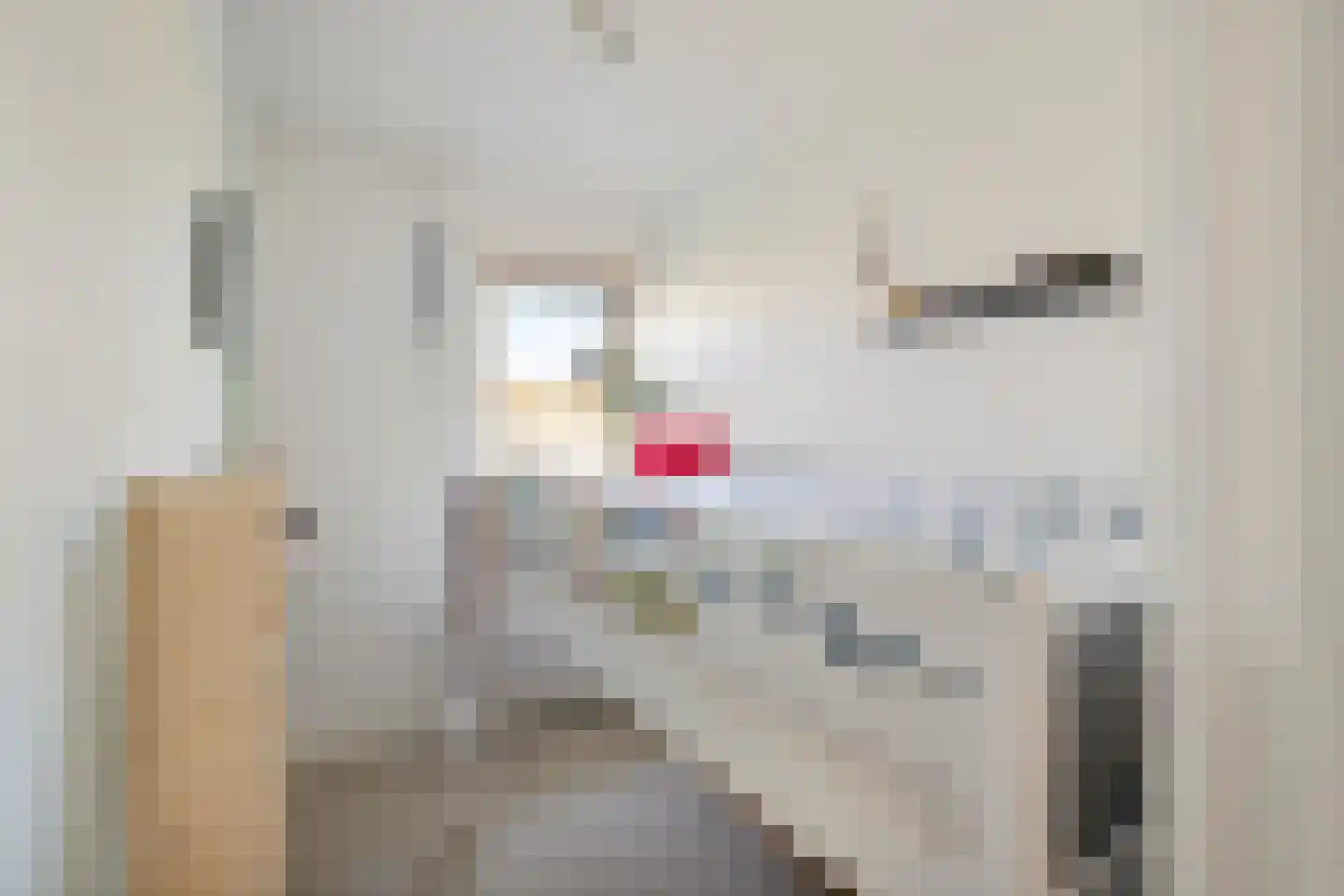 Julianaweg 130 Utrecht thumbnail 27