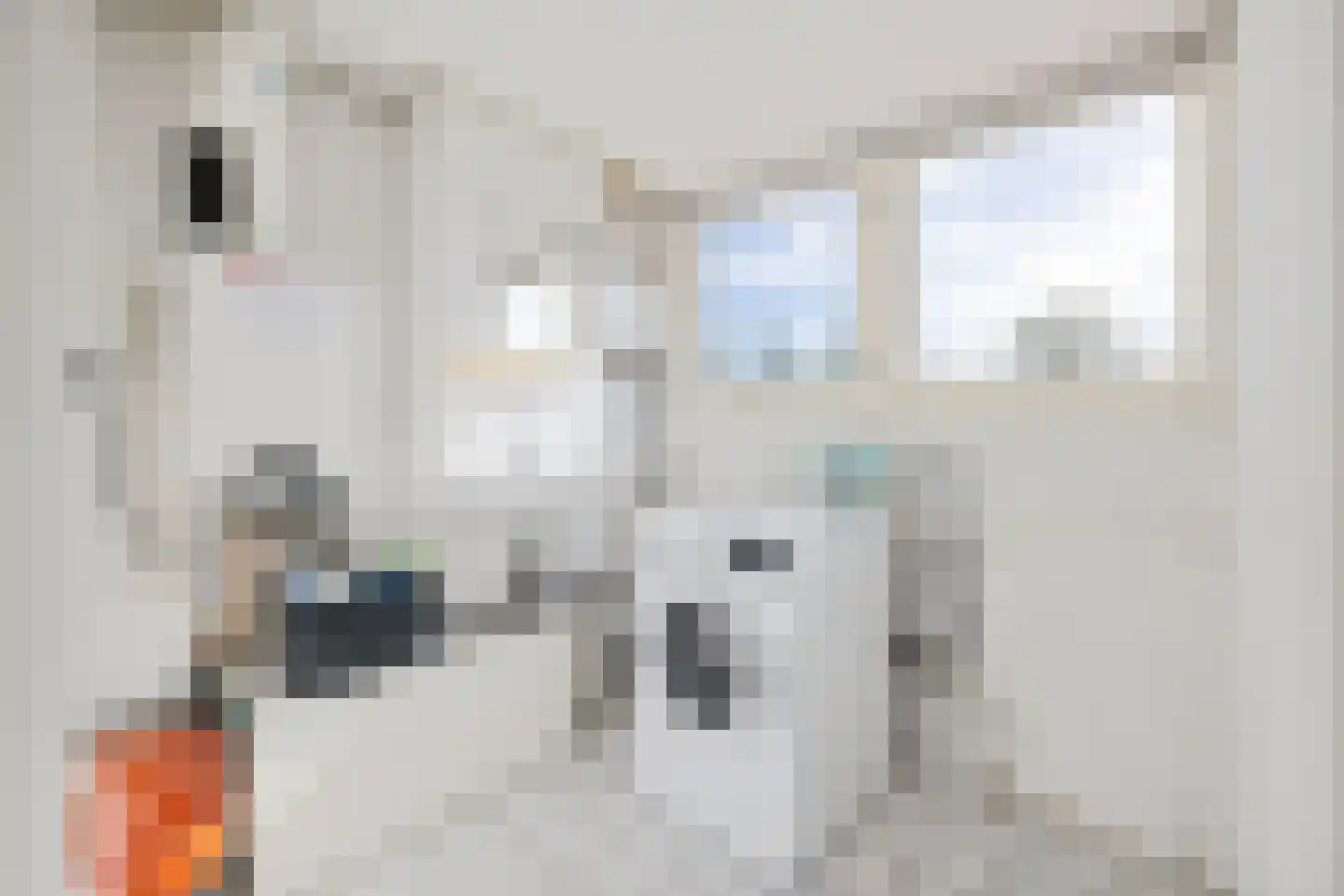 Julianaweg 130 Utrecht thumbnail 34