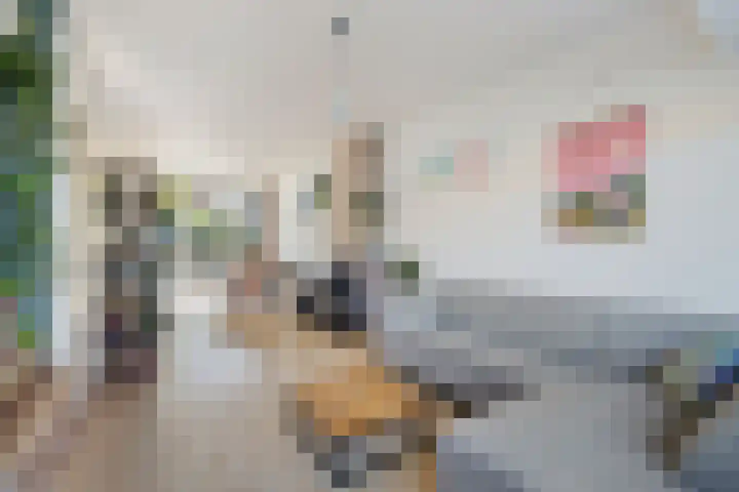 Julianaweg 130 Utrecht thumbnail 8