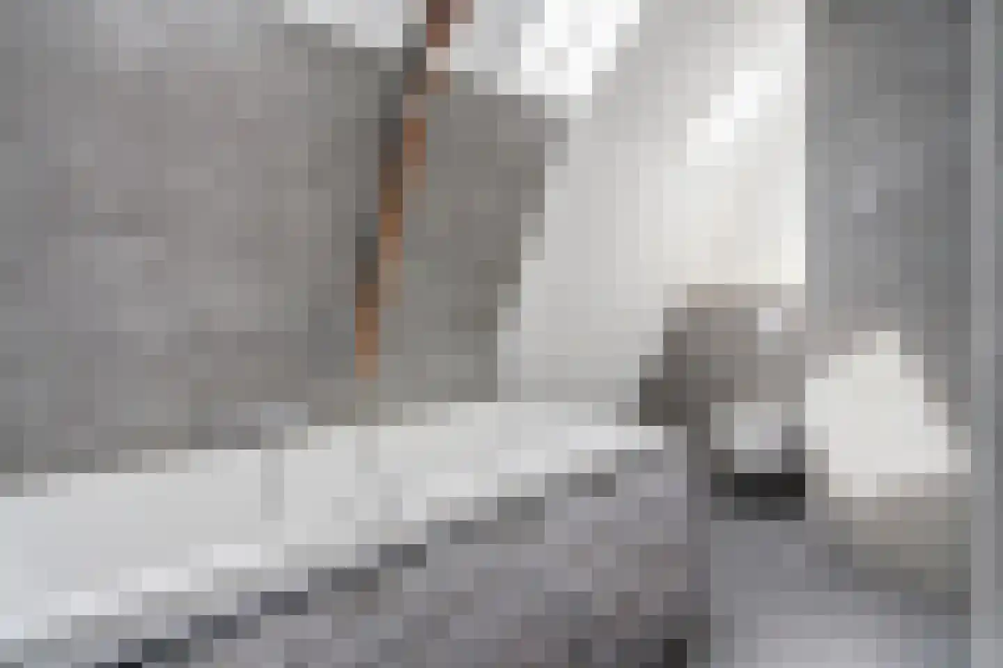 Julianaweg 14 de Wijk thumbnail 25