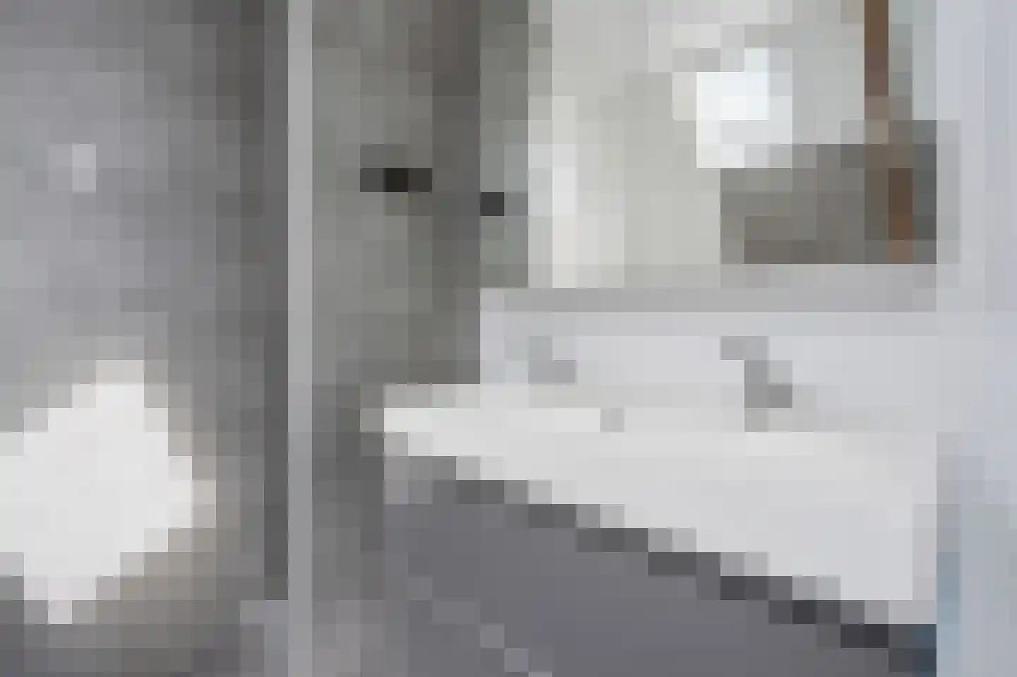 Julianaweg 14 de Wijk thumbnail 27