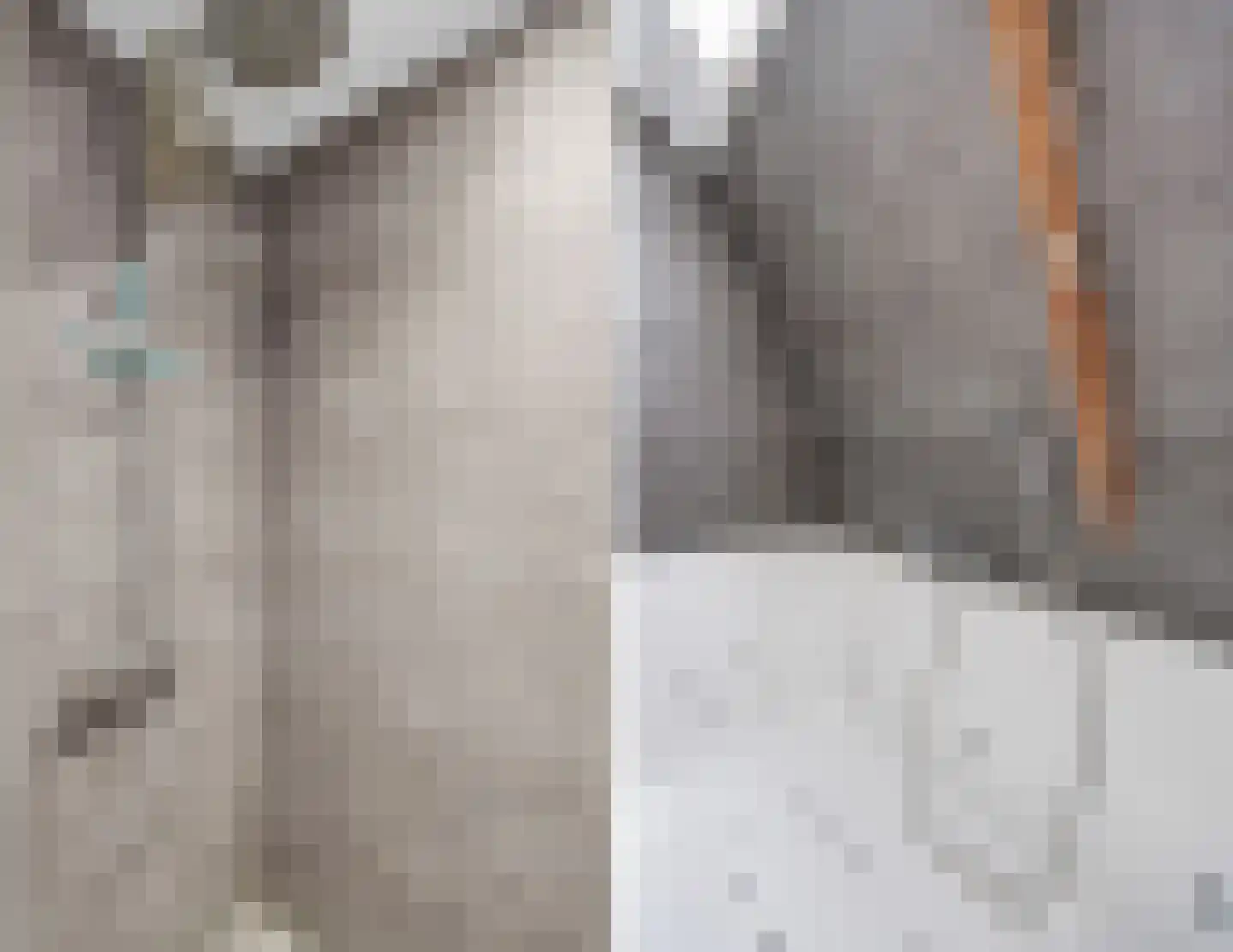 Julianaweg 14 de Wijk thumbnail 28