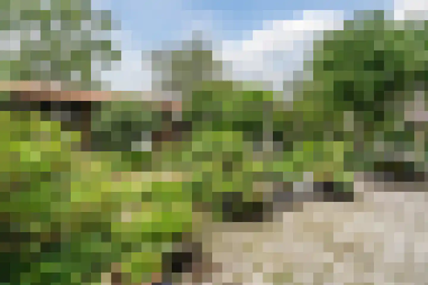 Julianaweg 14 de Wijk thumbnail 38