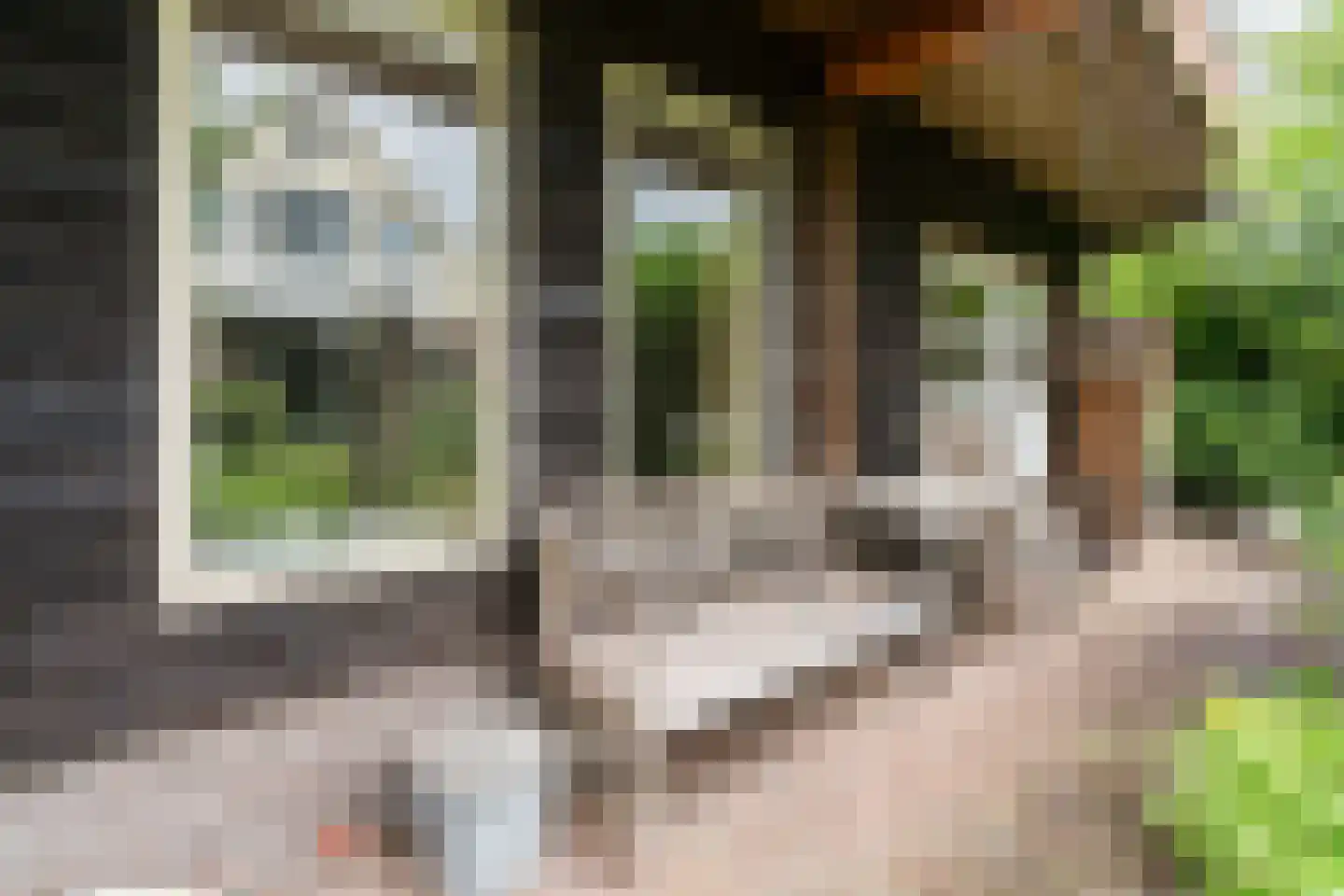 Julianaweg 14 de Wijk thumbnail 39