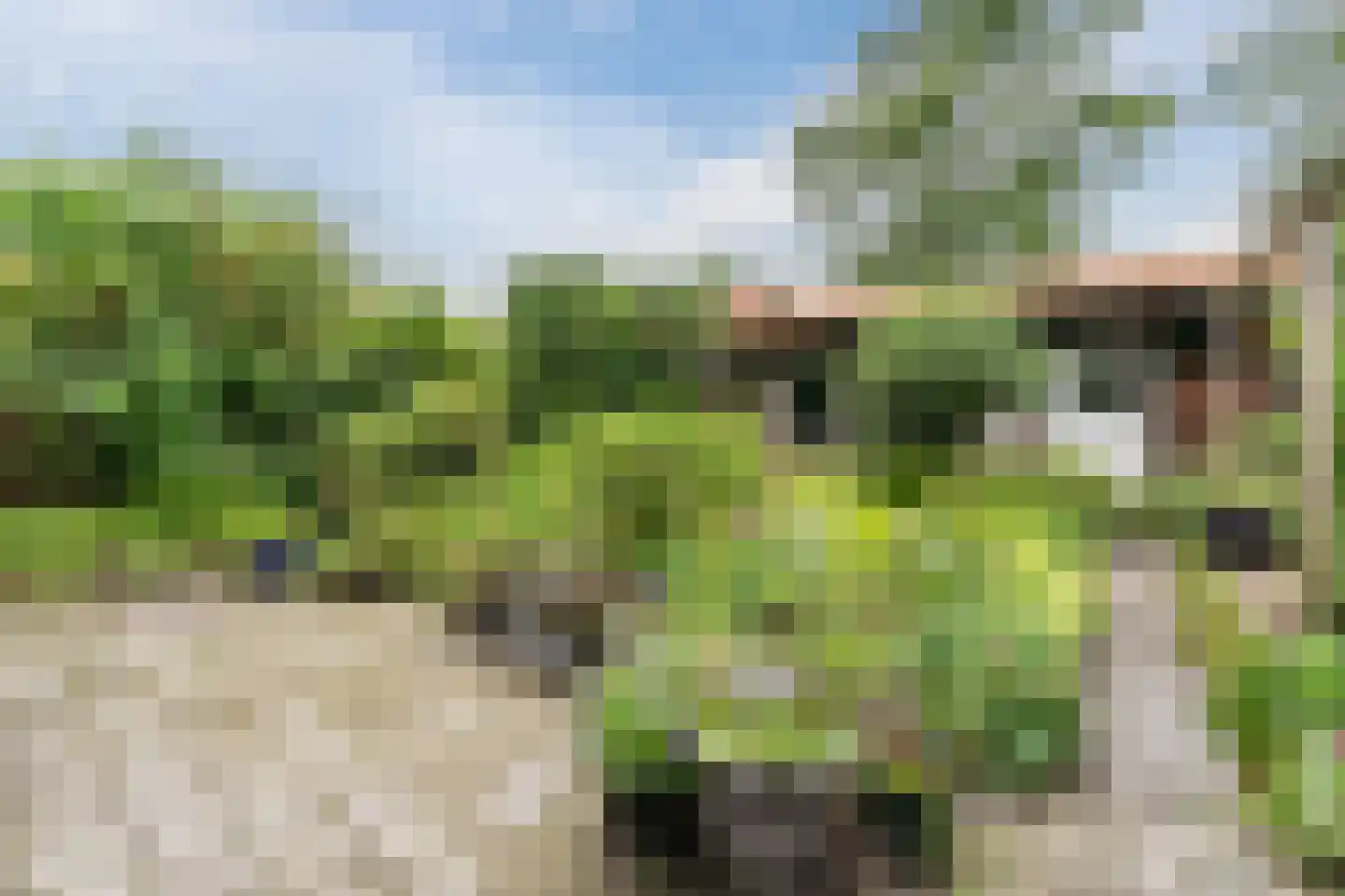 Julianaweg 14 de Wijk thumbnail 48