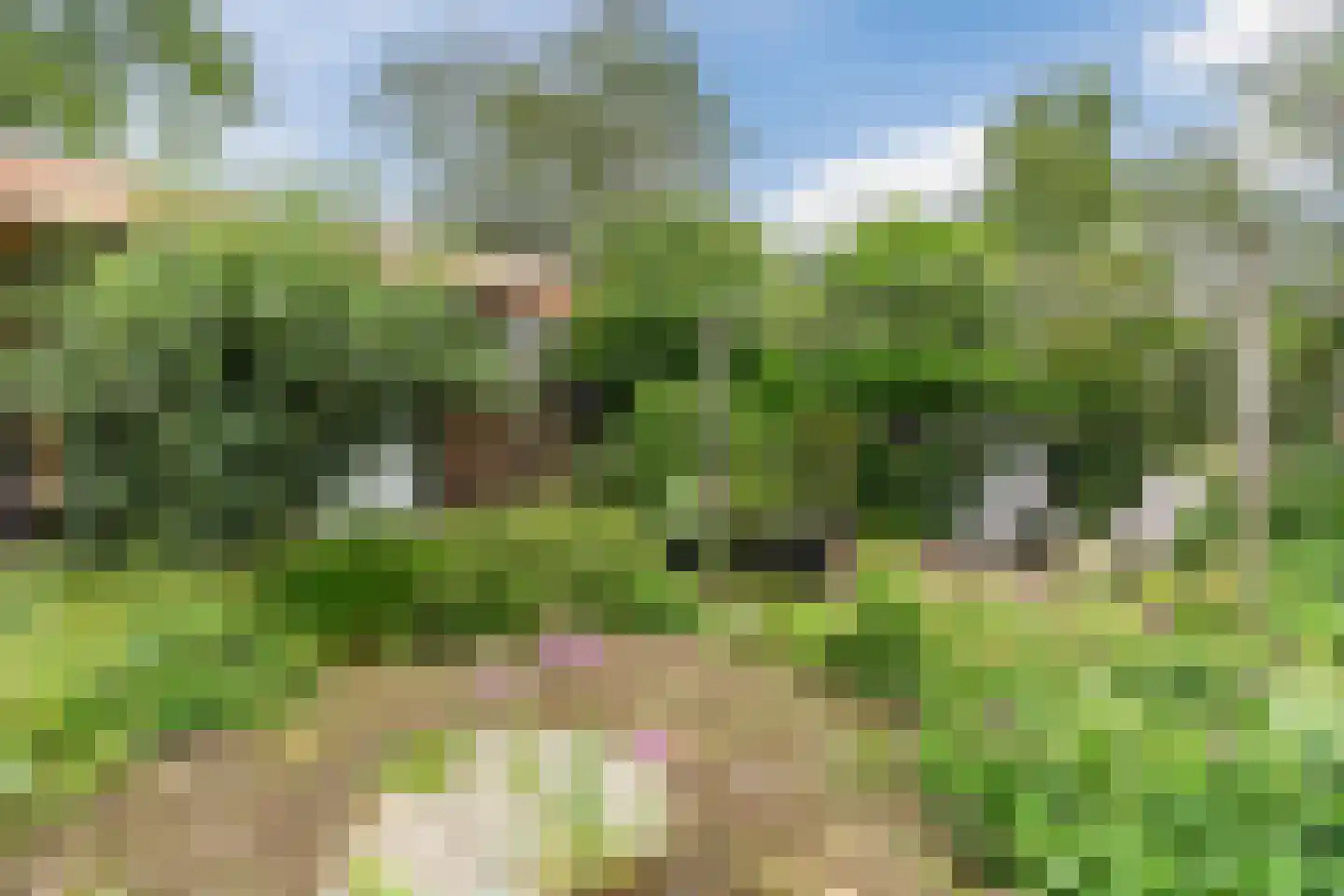 Julianaweg 14 de Wijk thumbnail 49
