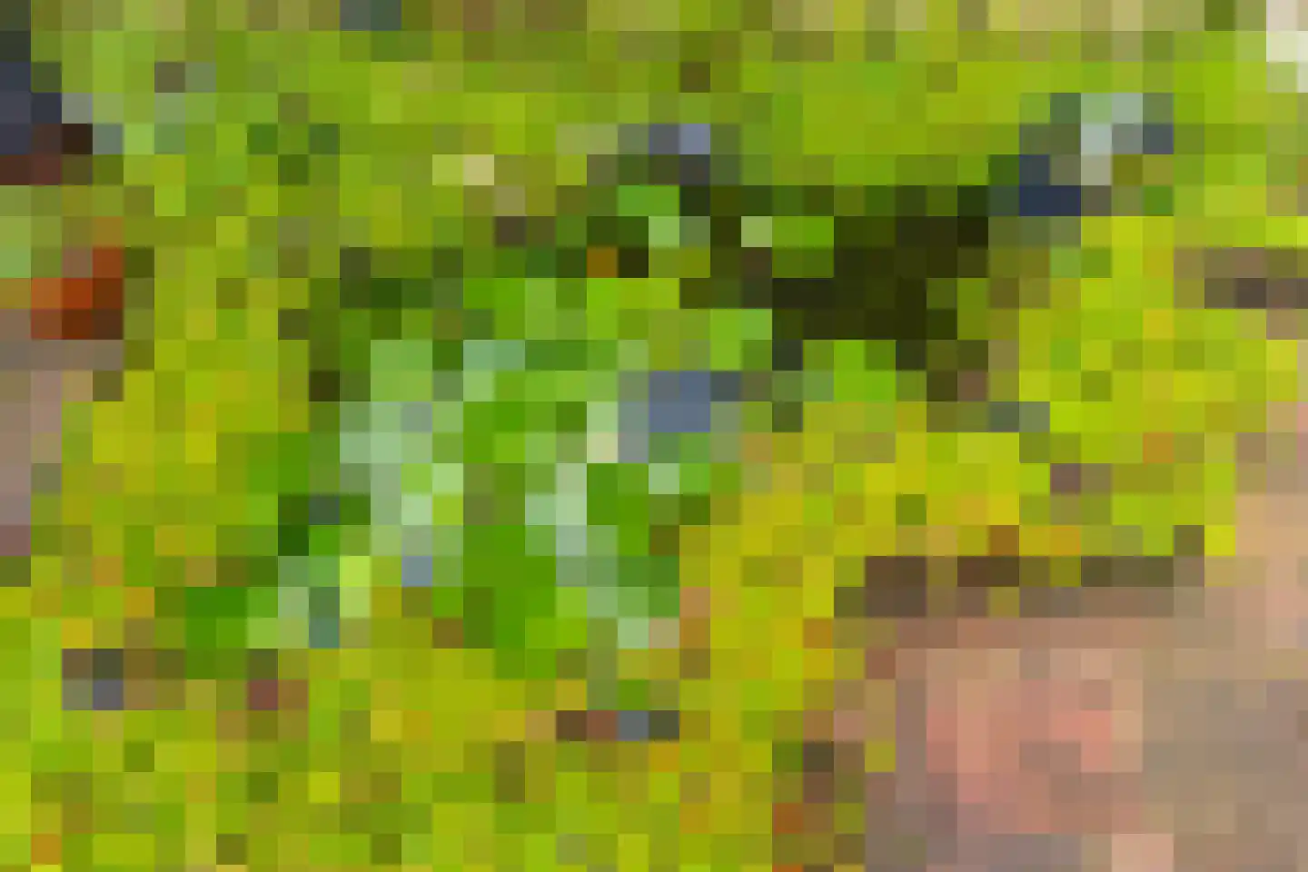 Julianaweg 142 Utrecht thumbnail 20