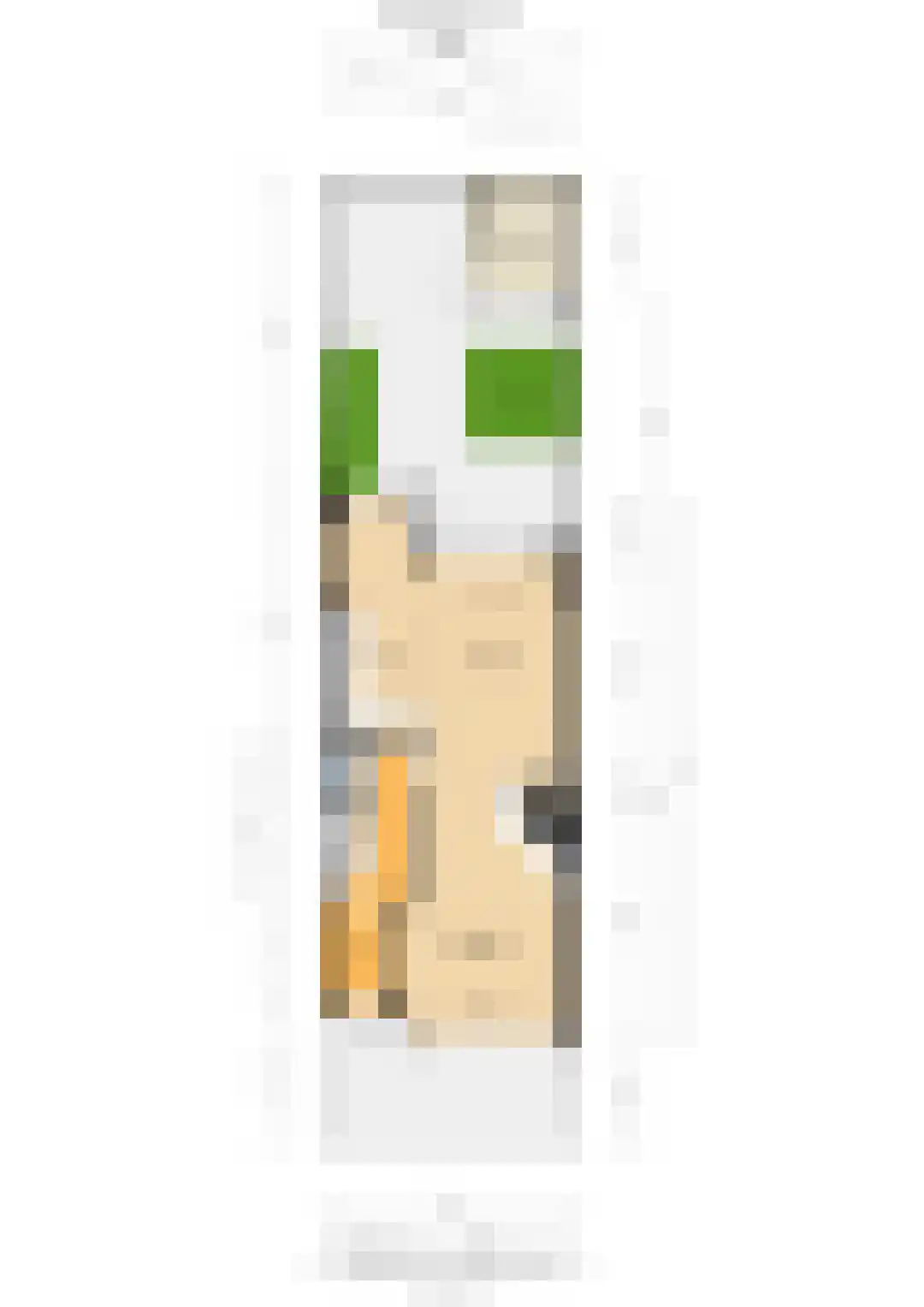 Julianaweg 142 Utrecht thumbnail 51