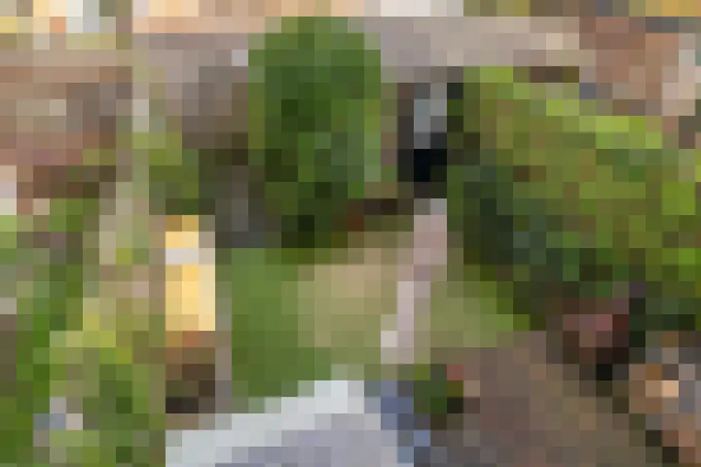 Julianaweg 148 Utrecht thumbnail 24