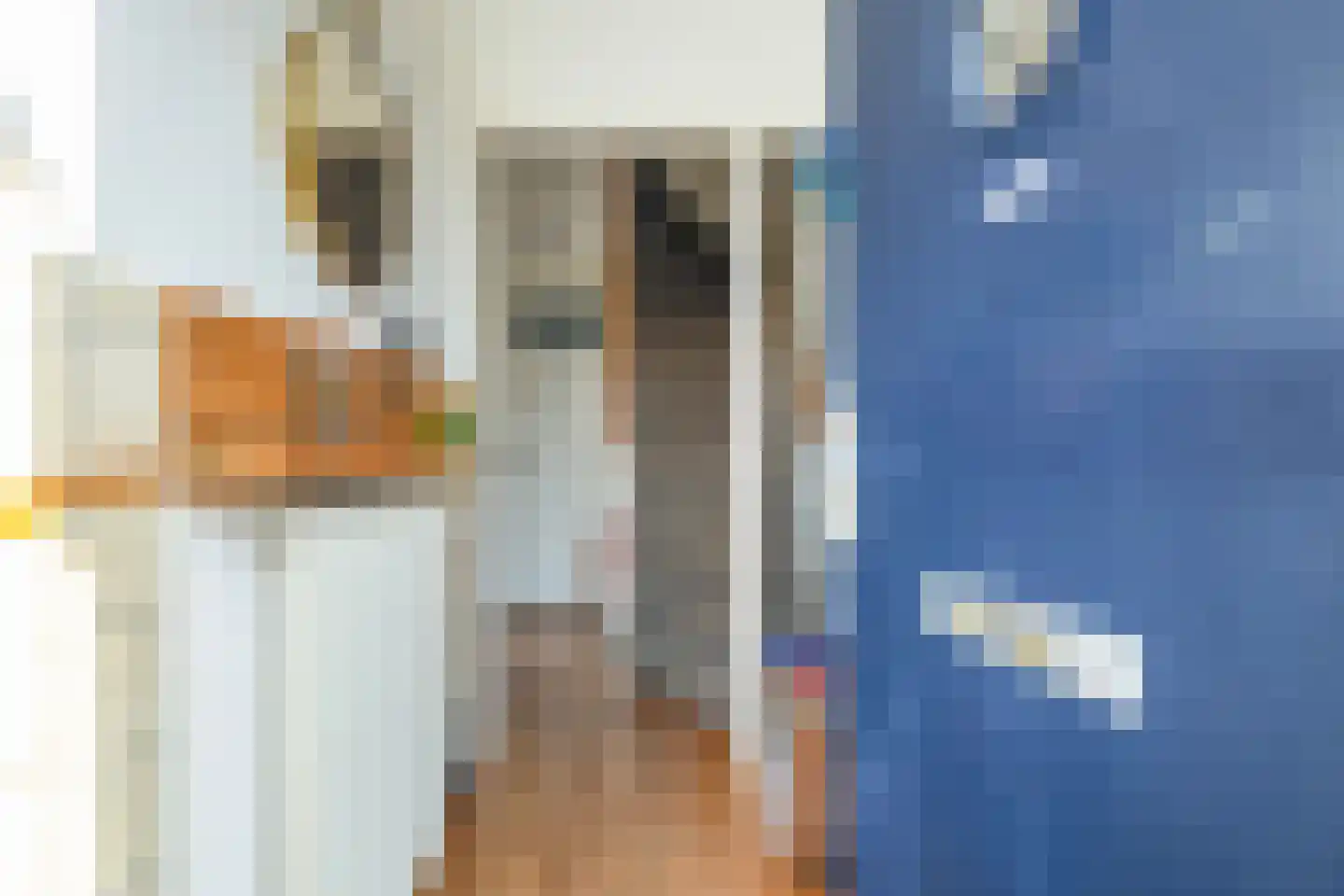 Julianaweg 148 Utrecht thumbnail 8