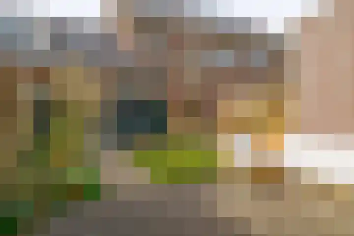 Julianaweg 171 Utrecht thumbnail 18