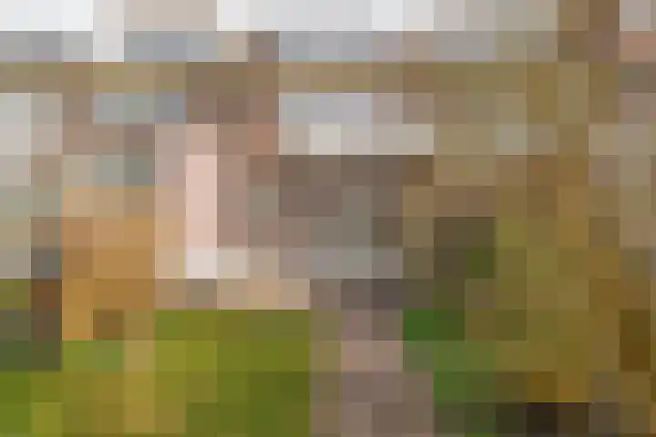 Julianaweg 171 Utrecht thumbnail 21