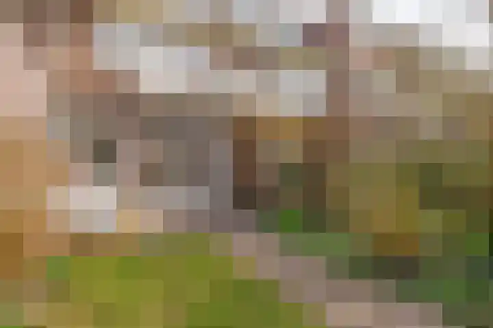 Julianaweg 171 Utrecht thumbnail 22