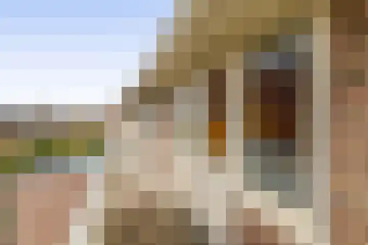 Julianaweg 171 Utrecht thumbnail 26